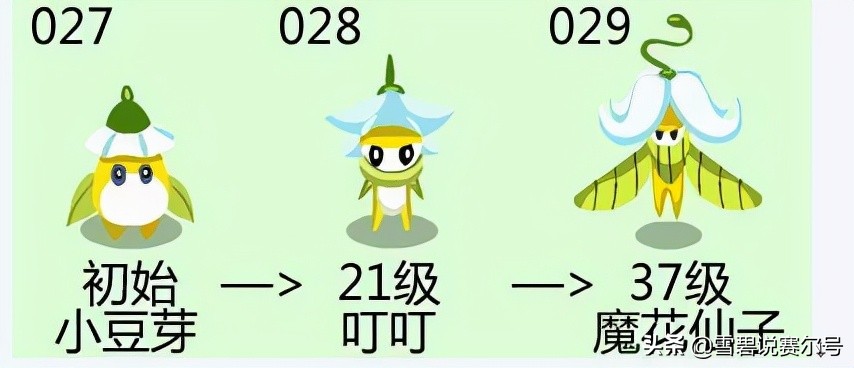 赛尔号小豆芽进化顺序图,赛尔号里小豆芽进化型是谁