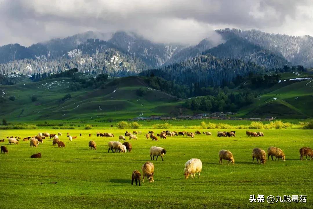 有一个美丽的传说解读,一个美丽的传说