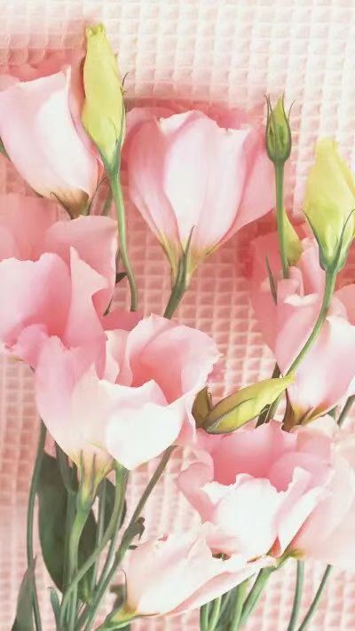 白浪情企业家群2022表彰荣誉证书