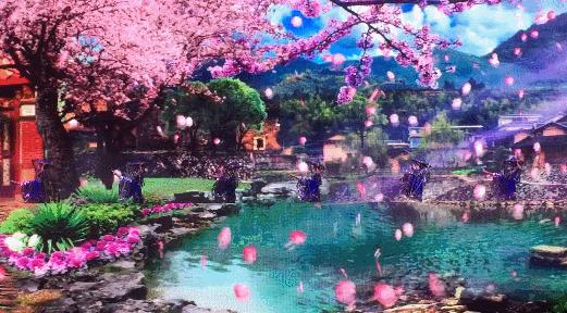 香港新晋的明星,现身厦门的香港明星