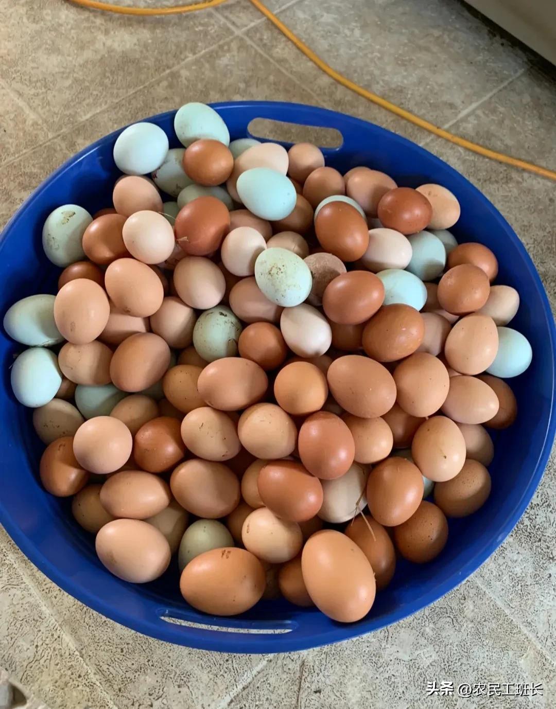 农村创业一年赚10万元,农村创业一年赚800万