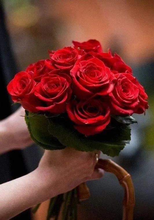 适合人焦虑迷茫时候看的书,焦虑的人生格言