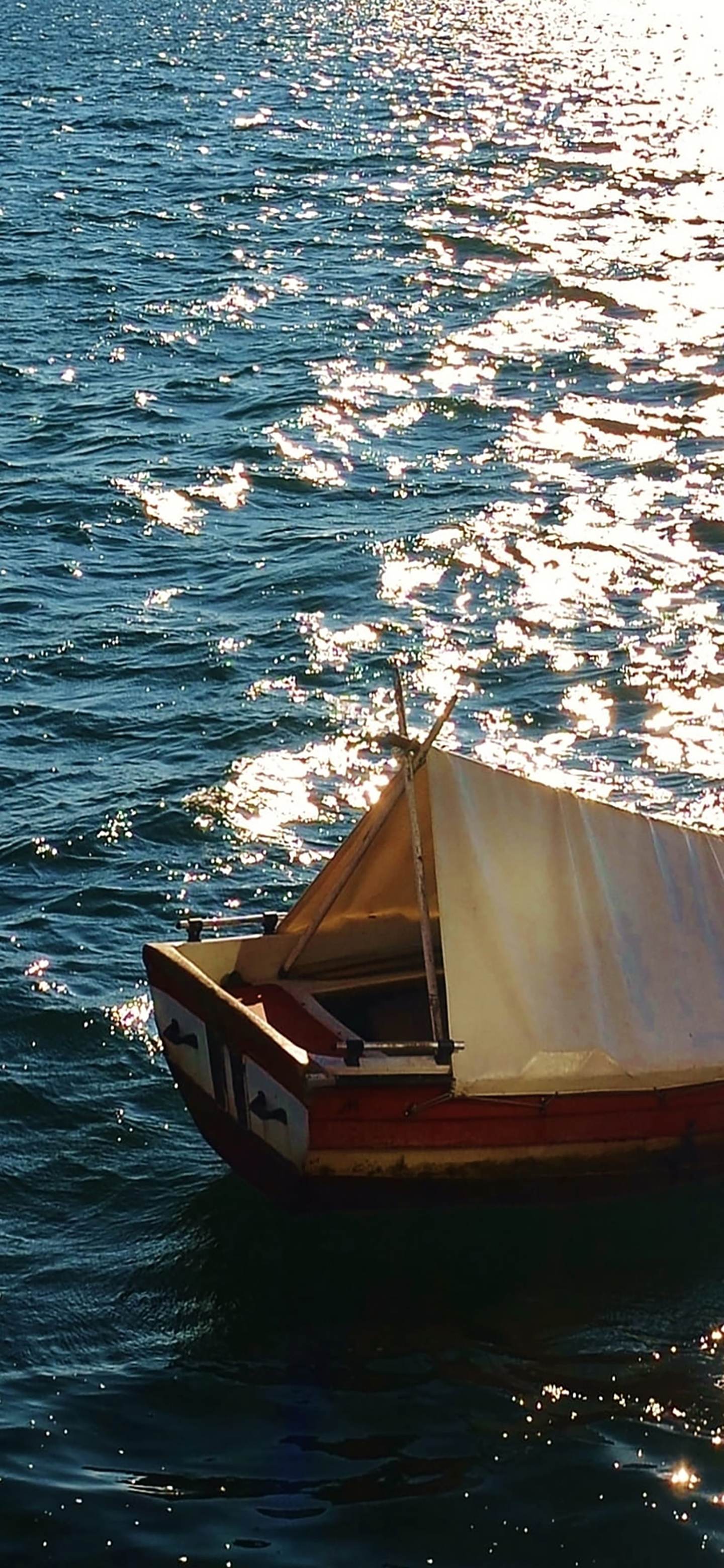 风景壁纸春,春天有百花秋有凉风冬有雪壁纸