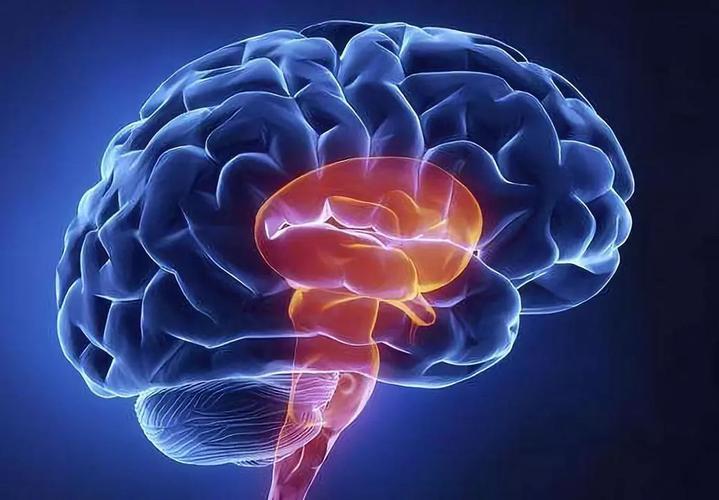 叶酸对防止中风有用吗,叶酸可以预防脑卒中吗