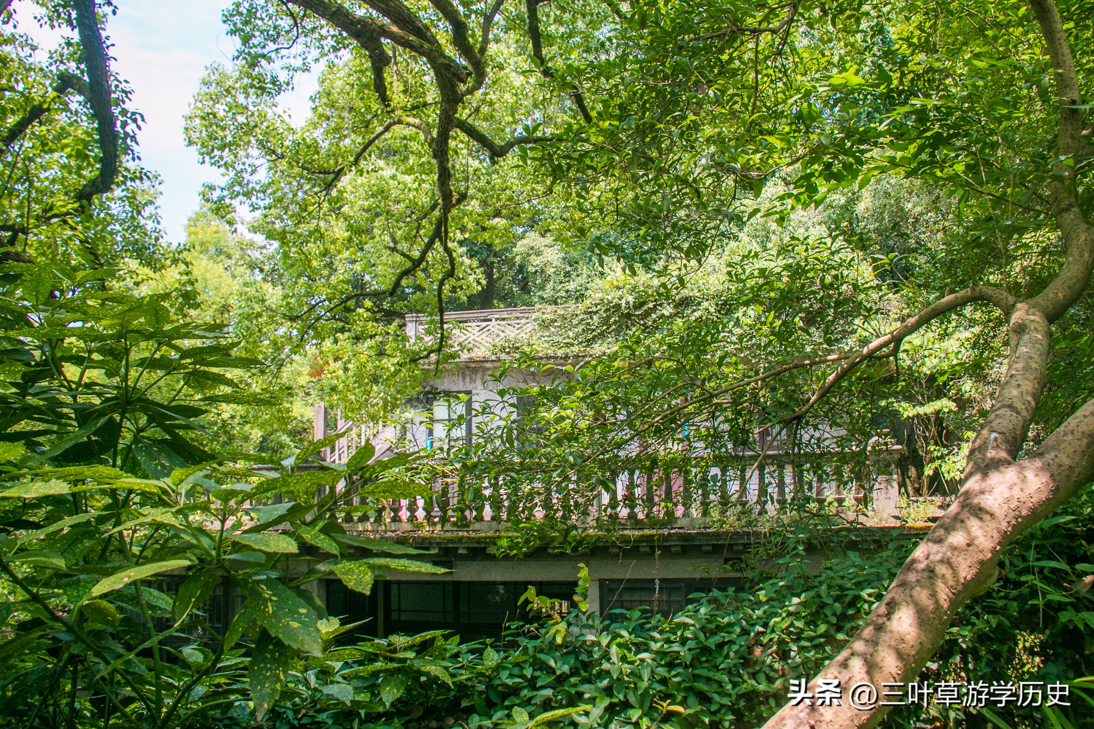 杭州西湖穗庐地址,杭州西湖湖景庭院