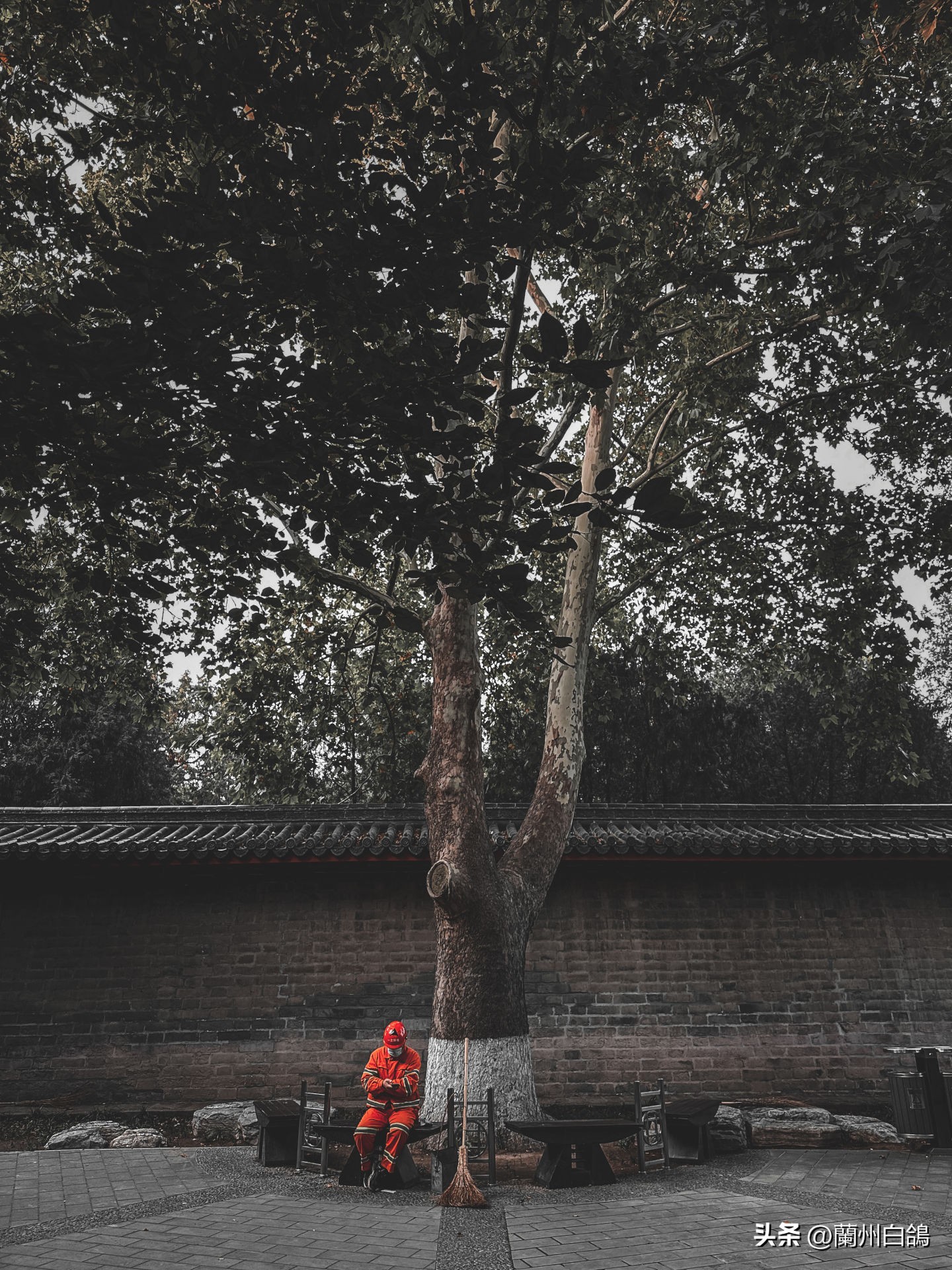 iphone14promax1tb暗紫色开箱测评,iphone14promax史低多少