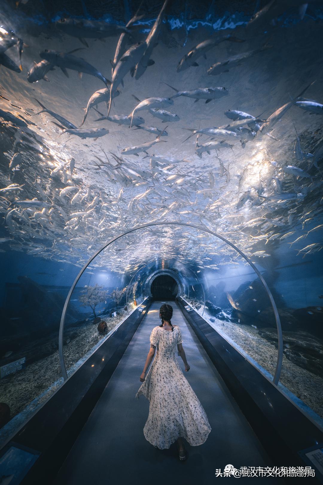 武汉值得玩的地方排名,武汉必吃榜top1