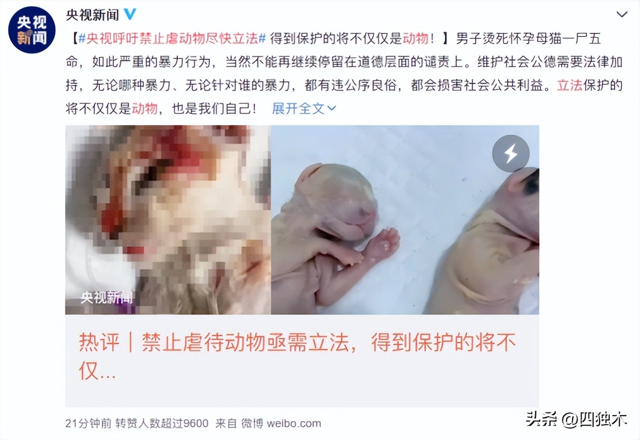 基因编辑、动物保护,如何扯下了人类“虚伪”的遮羞布?