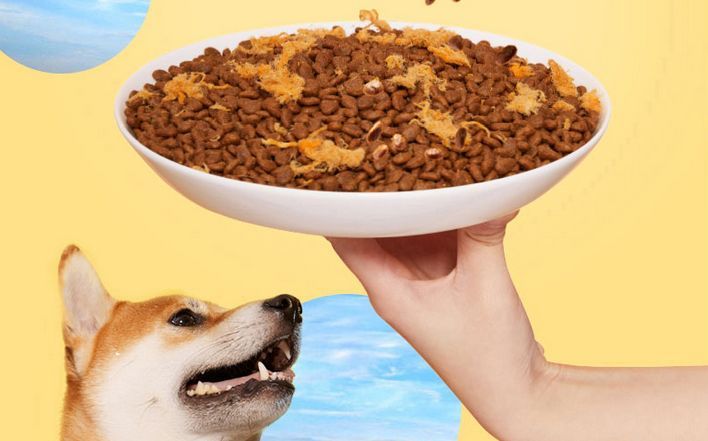 海洋之星和比瑞吉狗粮哪个好,皇家狗粮和海洋之星狗粮哪个好