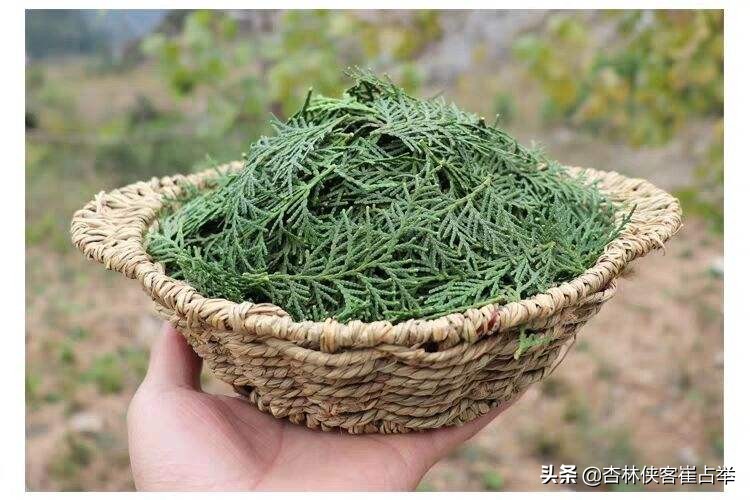 血虚血热脱发有哪些症状,血虚脱发吃什么药最好