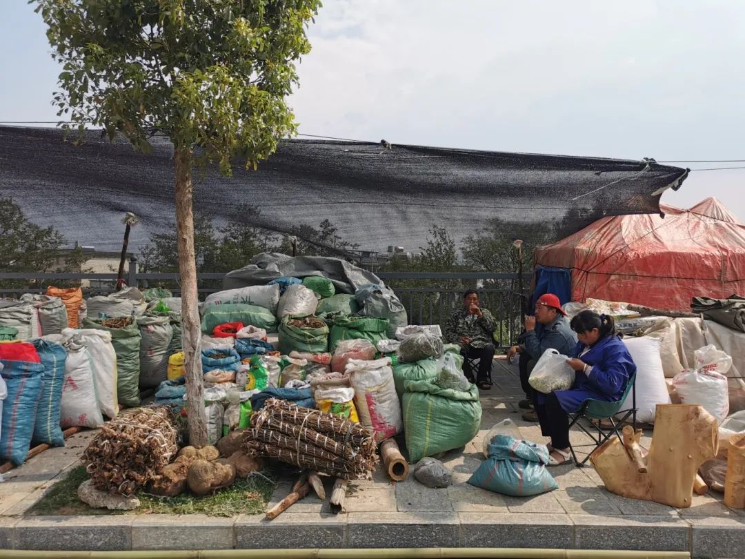 大理三月街药材批发,大理三月街药材市场2019