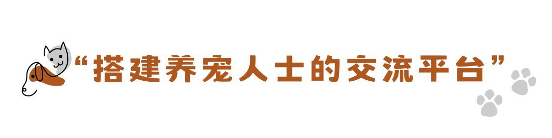 你就宠他吧谐音,你就宠他吧在线阅读