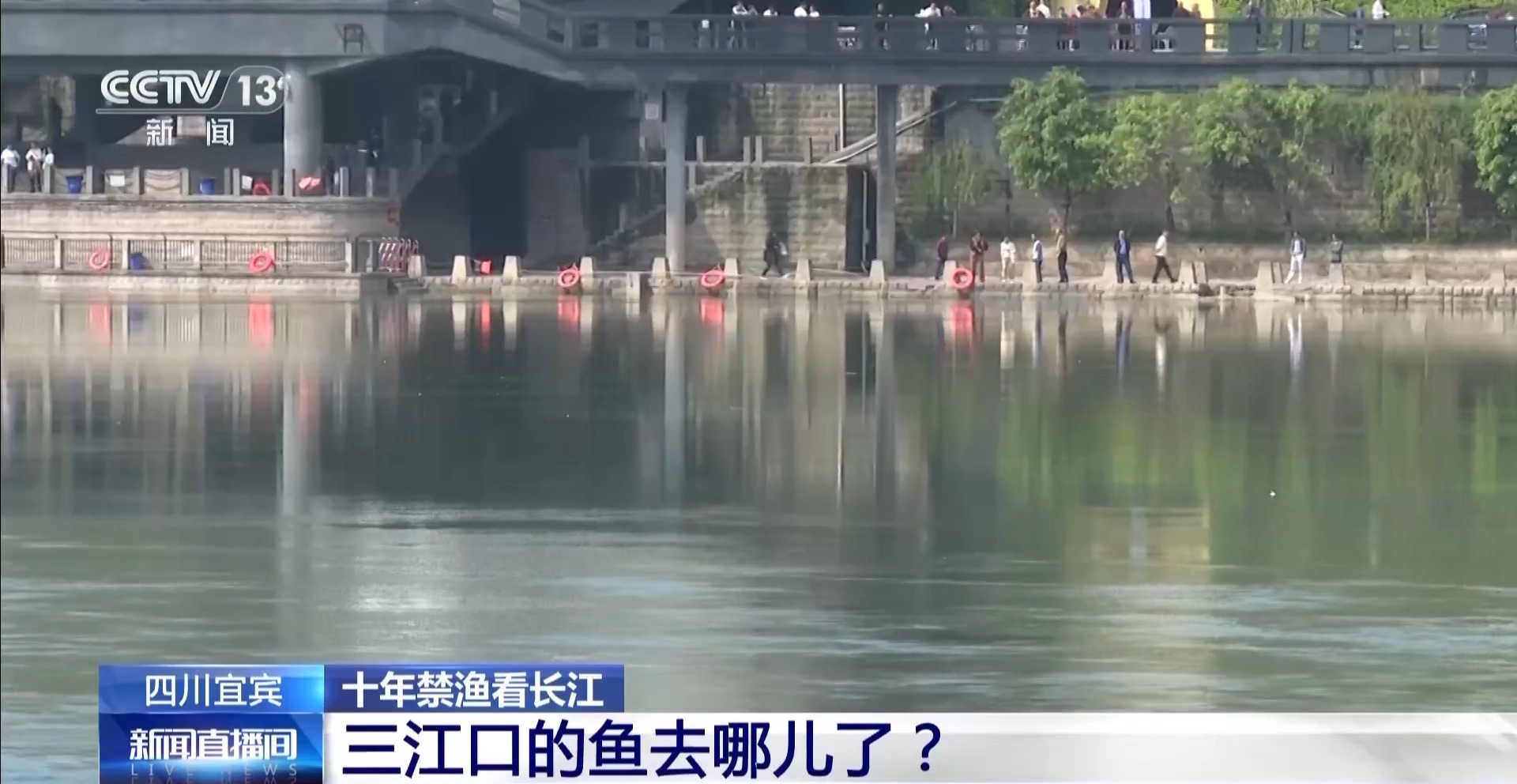 长江禁渔鱼类数据变化,长江禁渔三年多鱼儿们过得怎么样