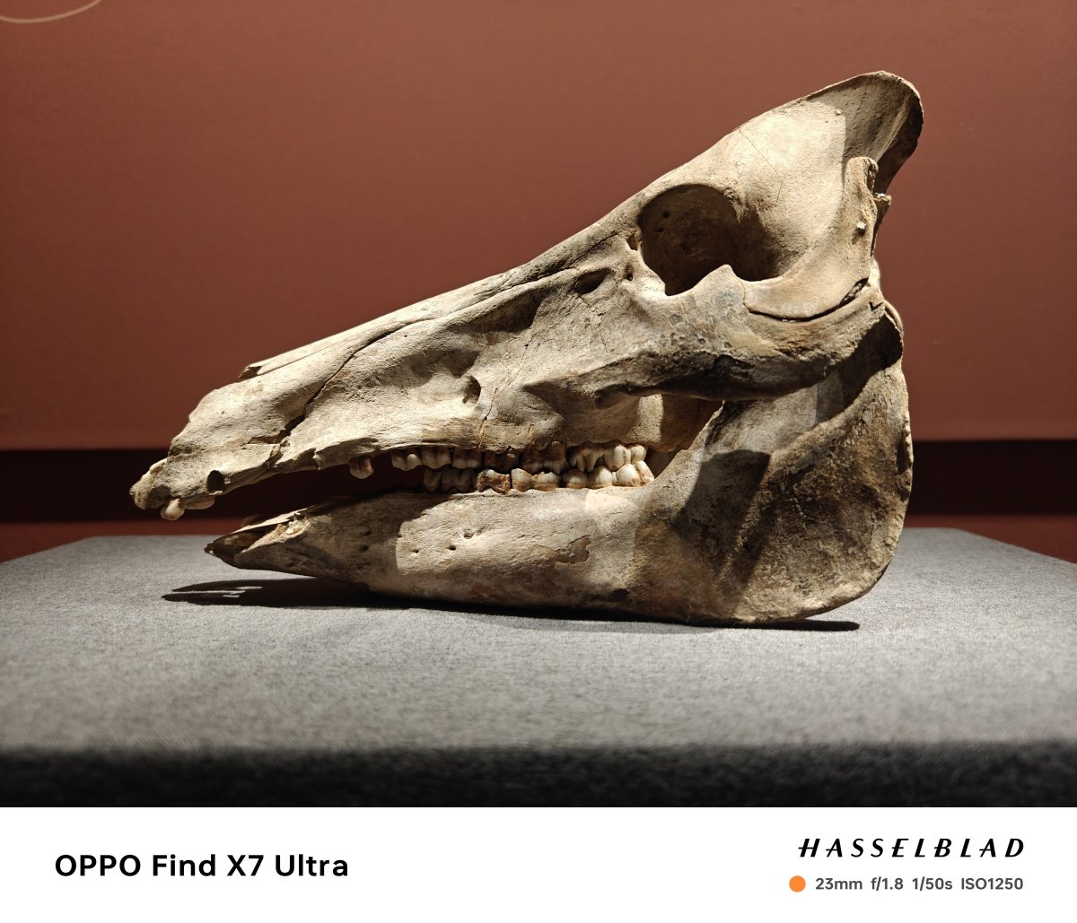 oppofindx7ultra娴嬭瘎,oppofindx7ultra鎷嶆憚璇勬祴