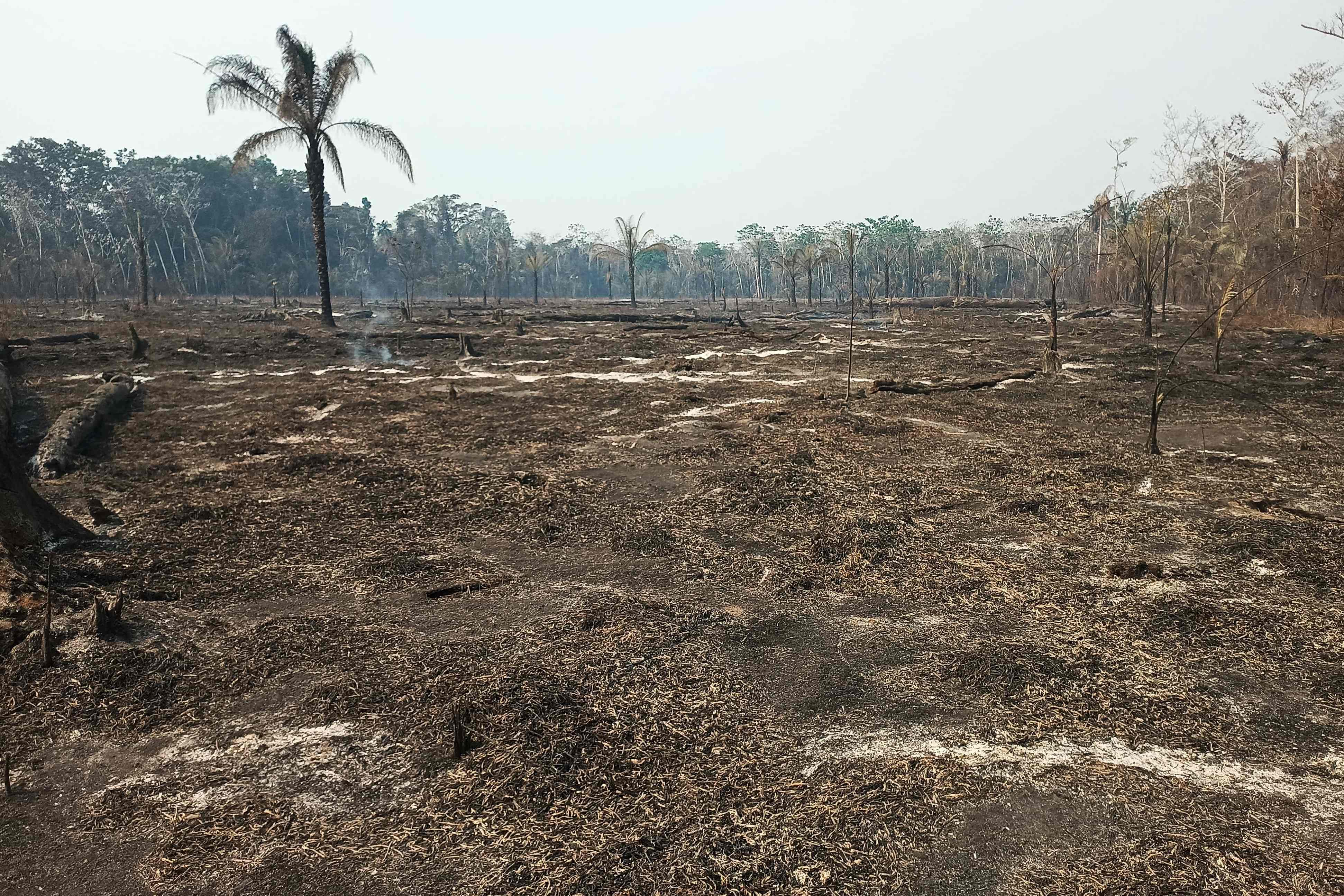 （外代一线）玻利维亚贝尼省发生火灾