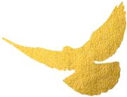 最新通知看牙补贴,马上领取种牙补贴