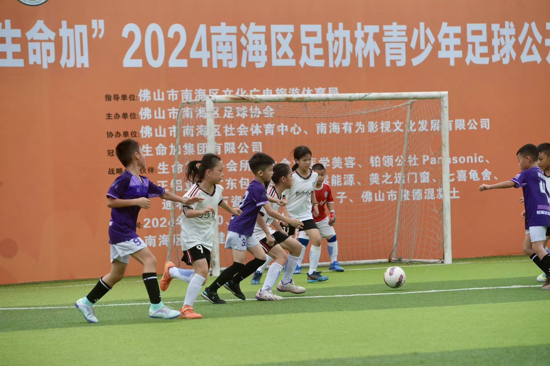 2024佛山市青少年足球锦标赛,南海区青少年足球锦标赛