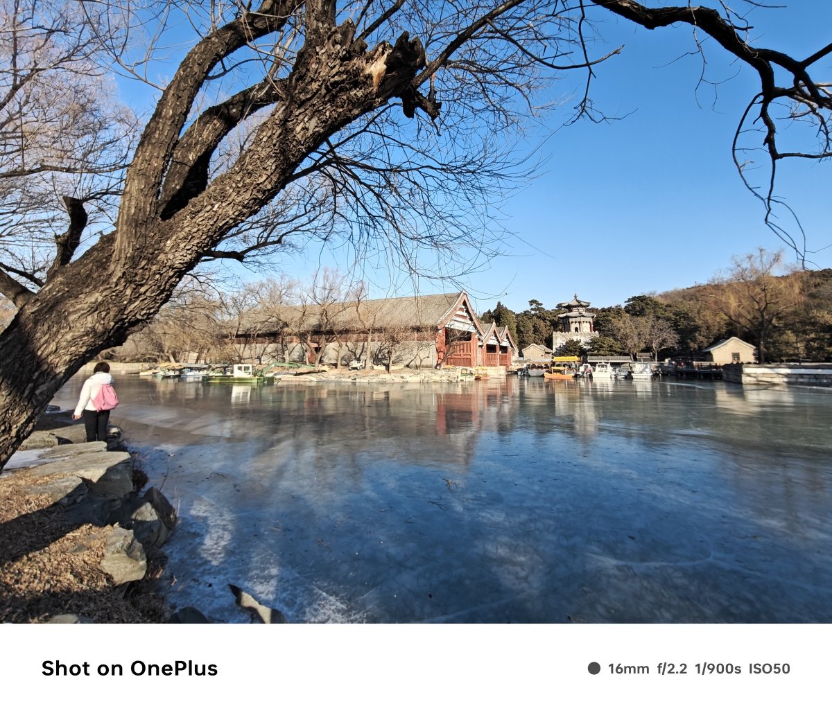 oneplus一加ace3,一加ace3