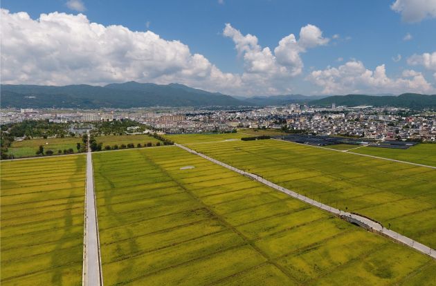 唱响中国经济光明曲,2023年唱响经济光明论