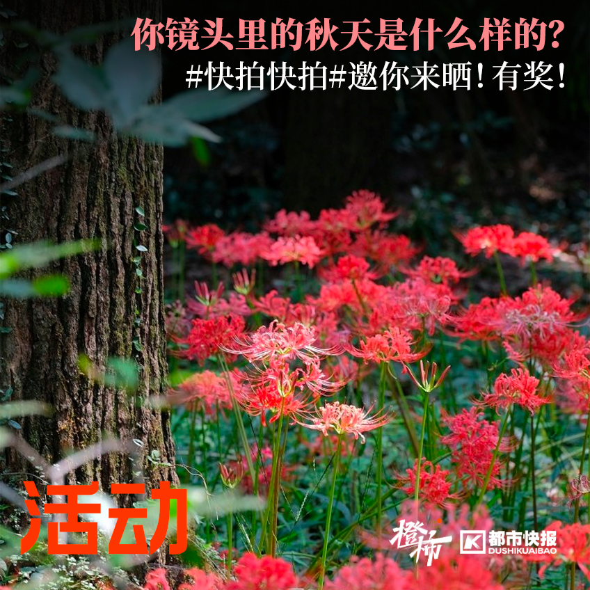 文创礼物2024,文创礼品福利品