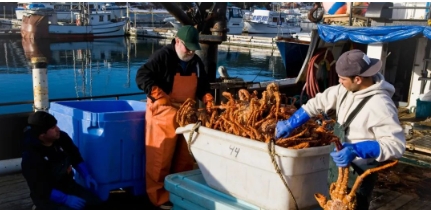 又一海鲜,中俄农产品交易中心海鲜