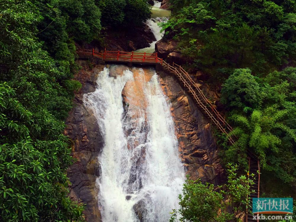 龙年抽龙签,龙年抽福签