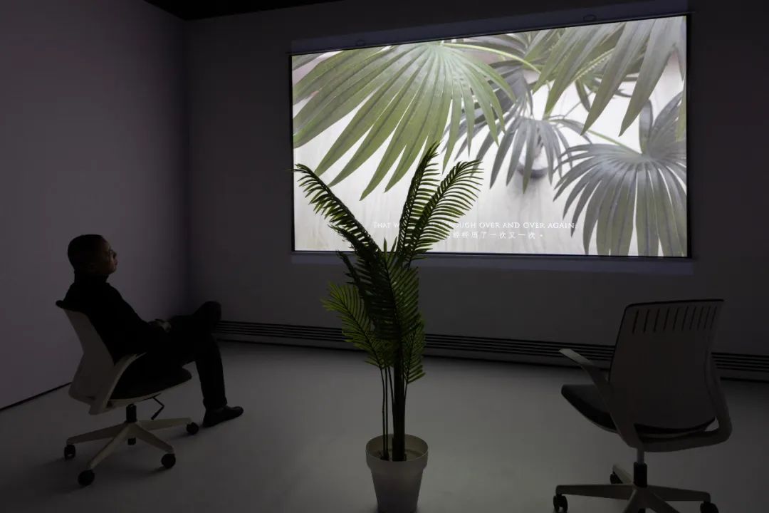 新当代的“离岸”探索，艺术的今日变革