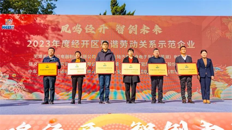 2020年芜湖经开区招聘,凤鸣经开智创未来