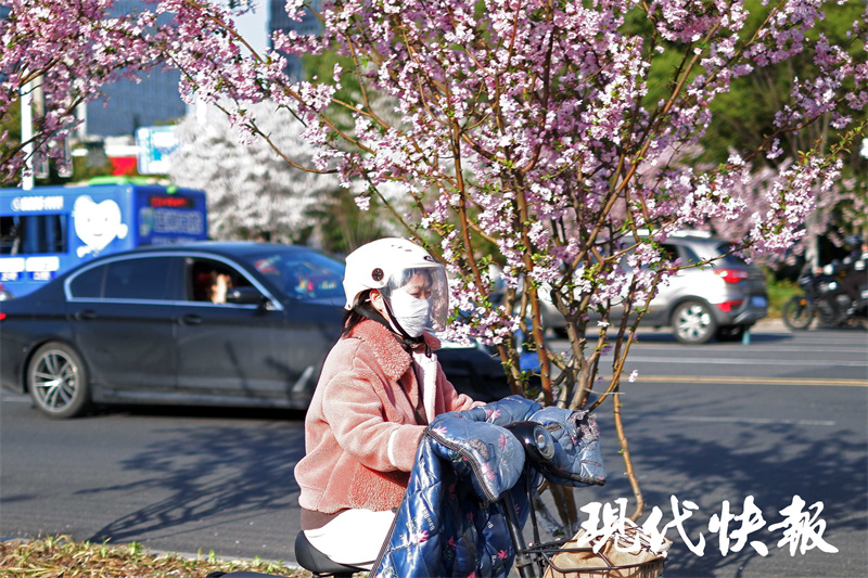 本周晴好天气为主最高气温,双休日天气晴好阳光重现气温回升