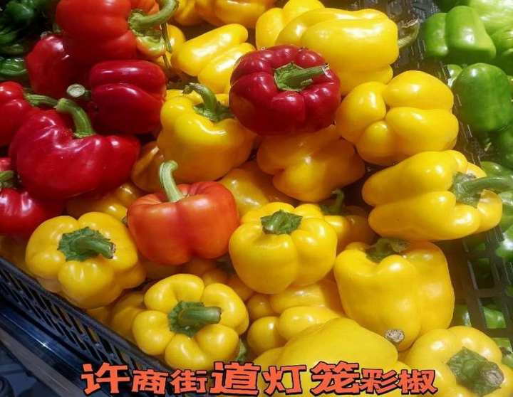 商河温泉之都,商河温泉基地游玩攻略