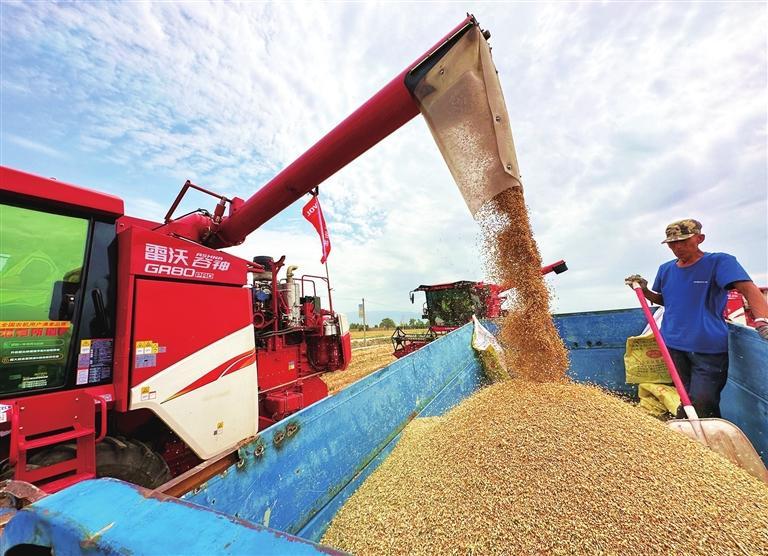 武威经济高质量发展会议,武威市工作综述