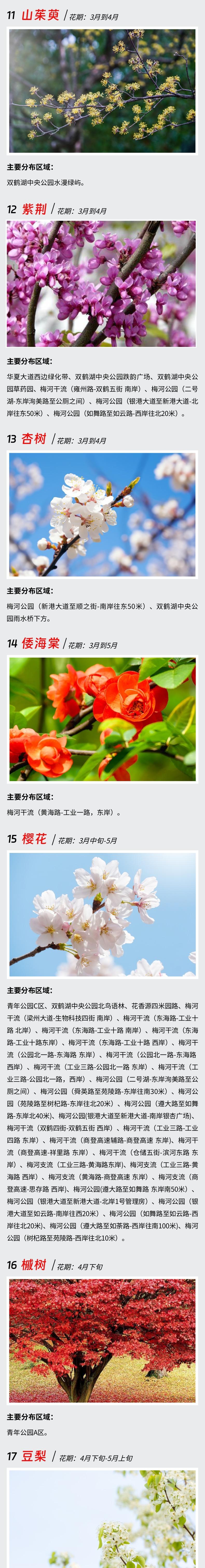 郑州最强赏花攻略出炉,郑州航空港赏花