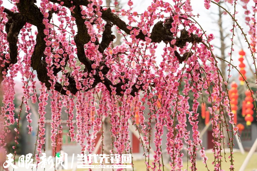 中国乡村休闲游首选地湄潭,湄潭县乡村旅游