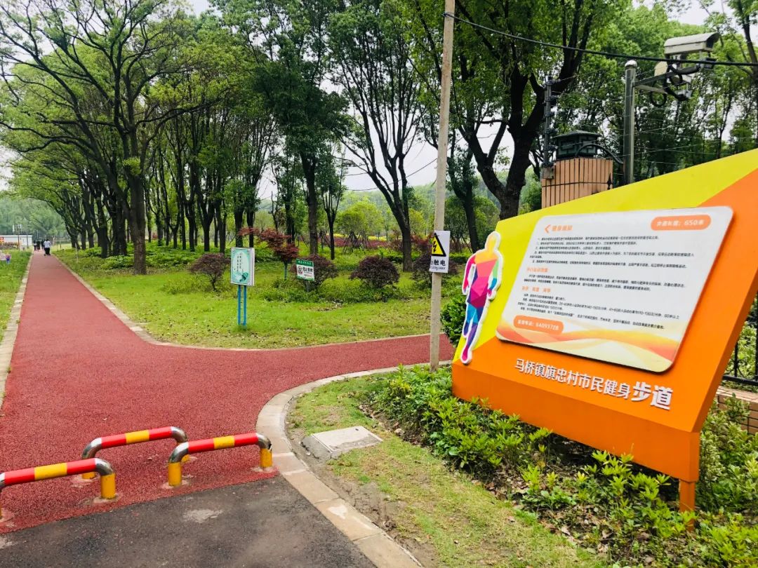 健身游泳馆的区域和项目有哪些,游泳健身馆推荐