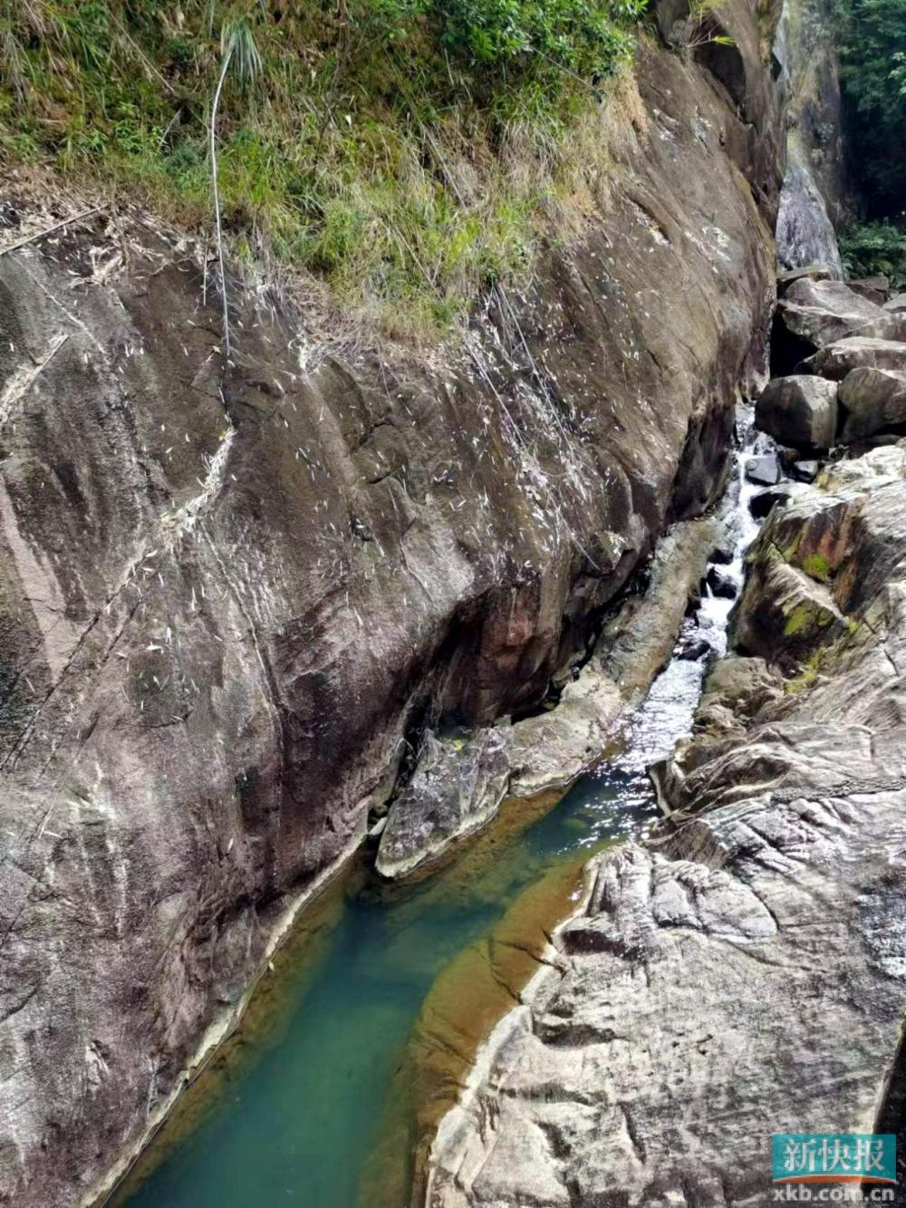 龙年抽龙签,龙年抽福签