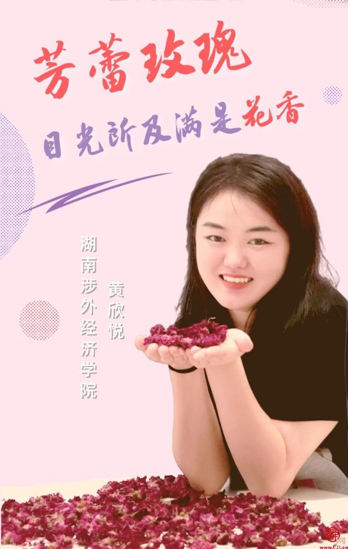 泉水人家最新视频,泉水人家济南