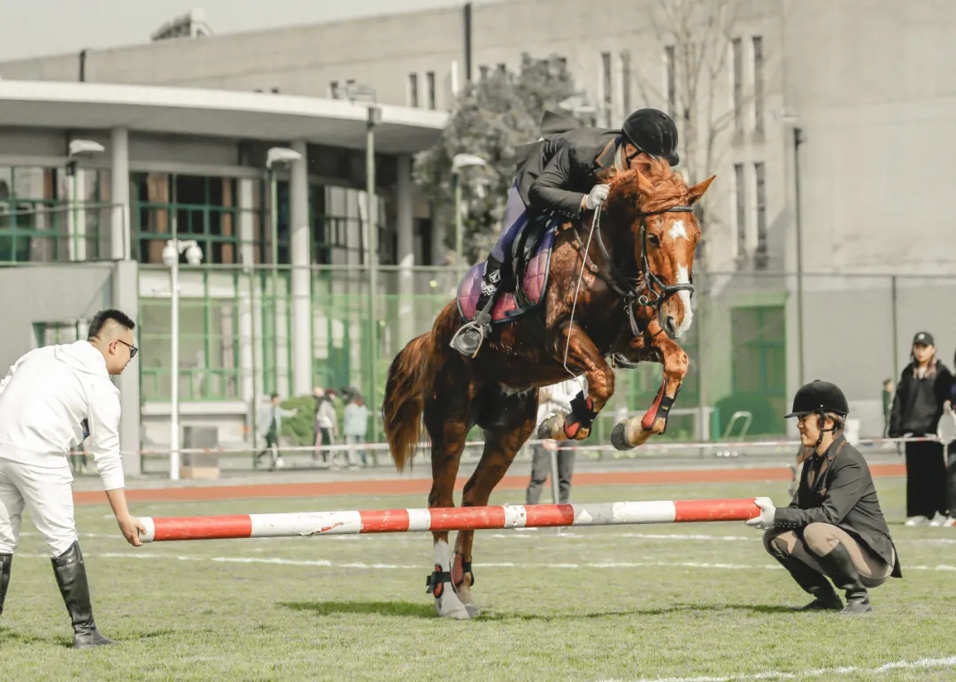 20年走出7位来自全球各地的福布斯U30：寻觅这所大学的创新创业密码