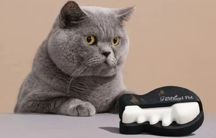 最火爆的蛋糕是什么牌子,200多元的蛋糕有多大