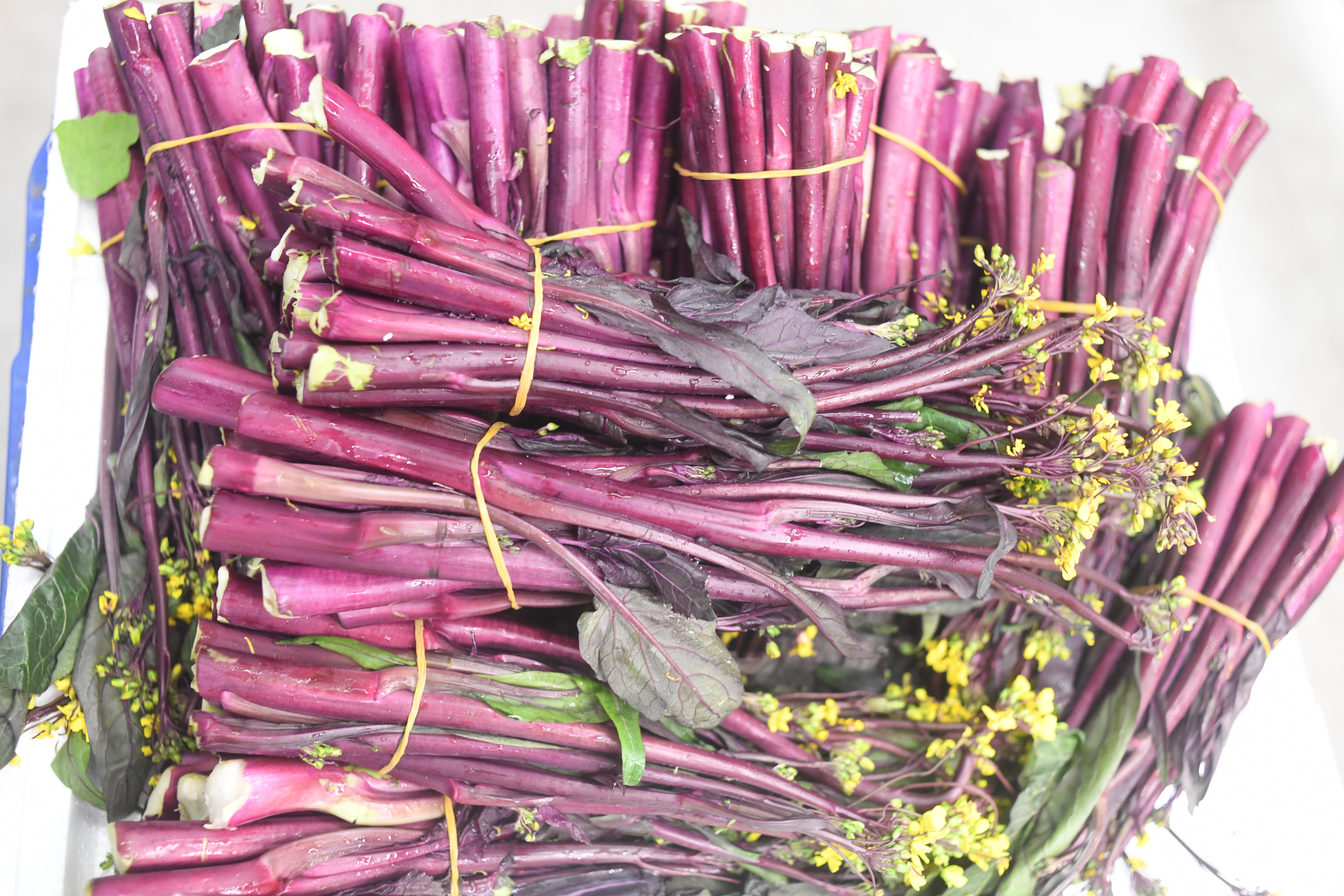 黔货出山山货进城,山货出山土货进城