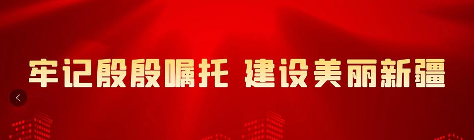 职引未来,筑梦青春职启未来题库