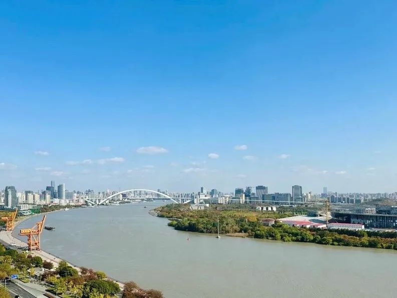 营商春风暖徐汇｜“在徐汇，我们感受到了阳光、水与空气”