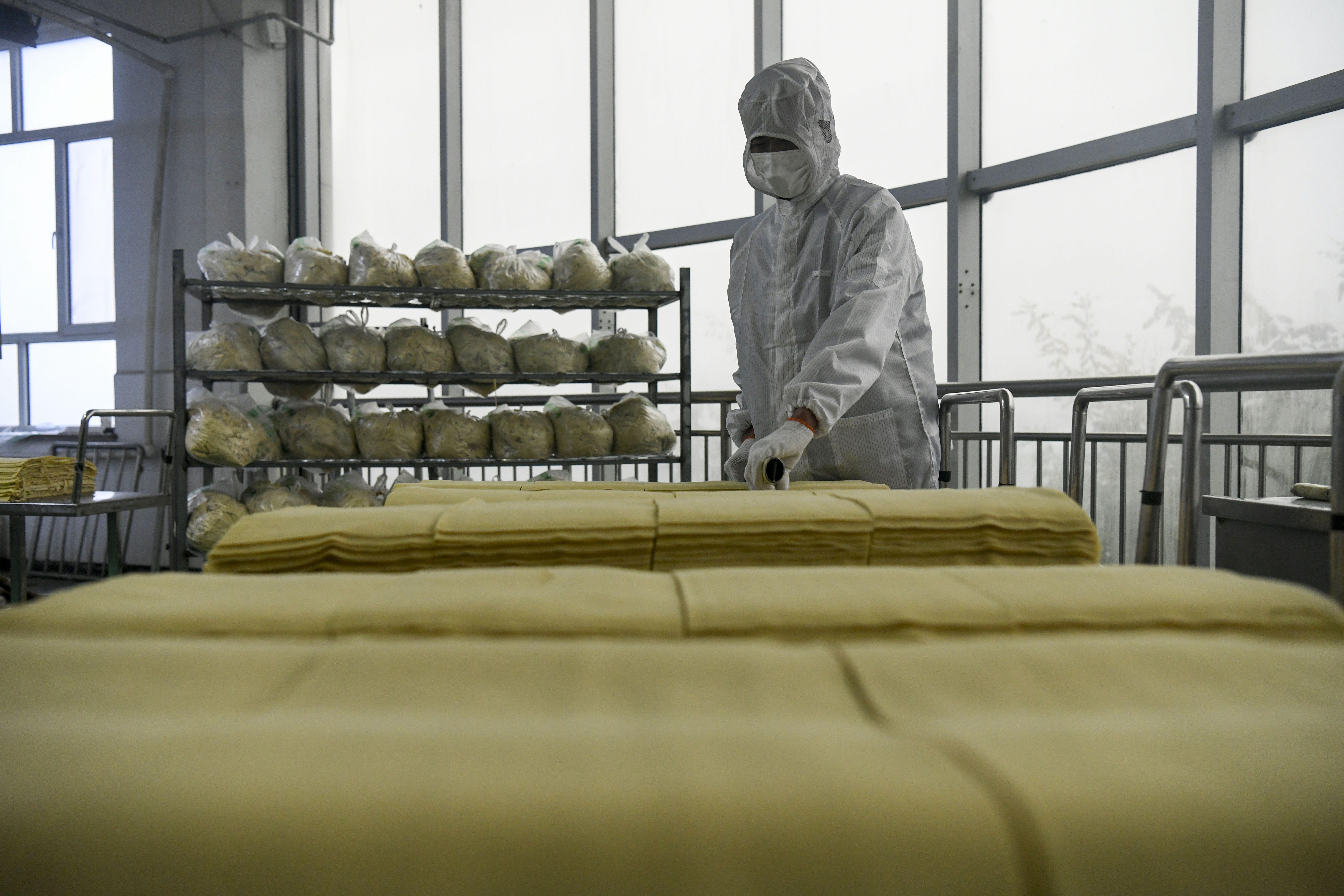 隆化县乡村振兴图片,隆化种植药材收入