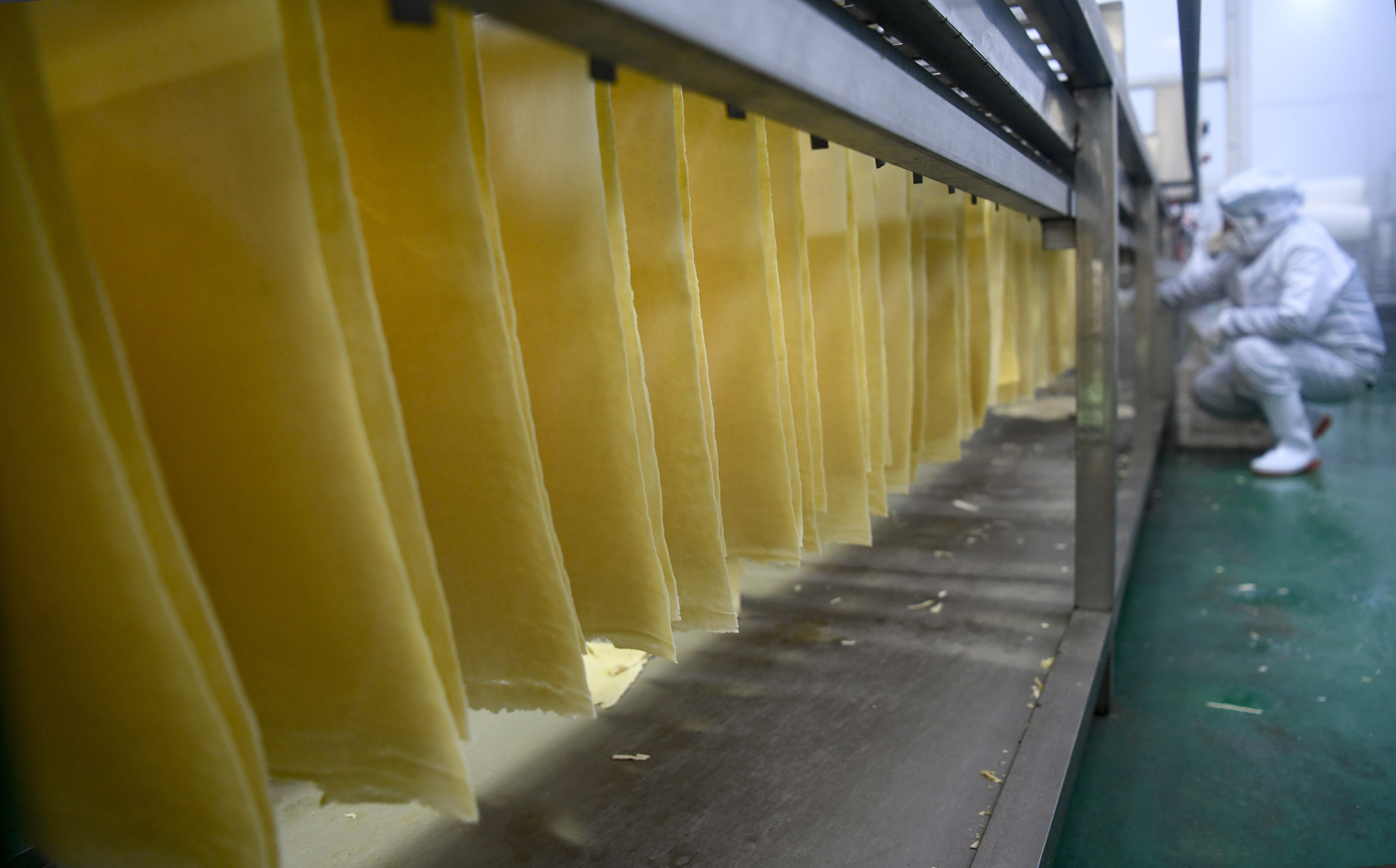 隆化县乡村振兴图片,隆化种植药材收入