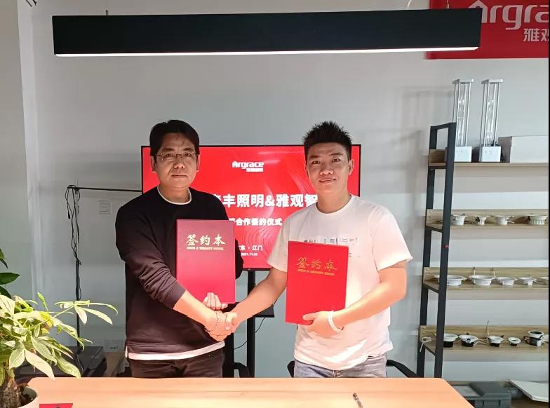 雅观智能照明,雅观照明