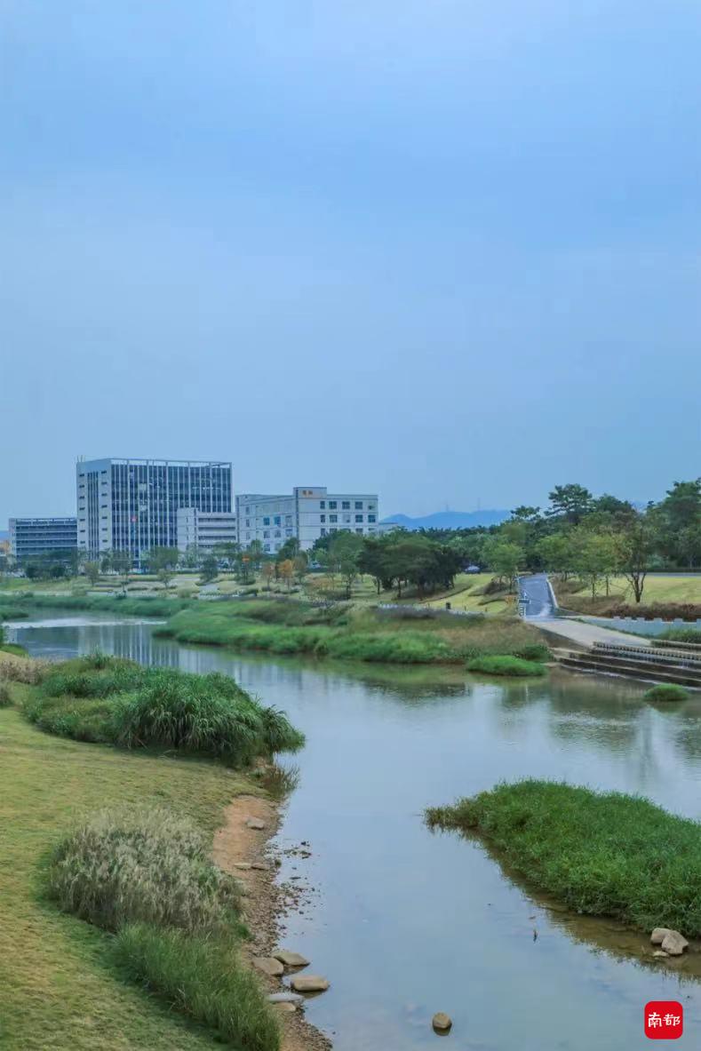 打造山水田园城市！光明区水务局获省级荣誉