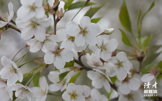 不愿意借钱给你的人还需要来往吗,借钱不回消息还有必要往来吗