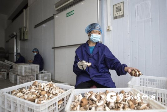 黔西可持续发展,毕节本地企业数字化转型便捷