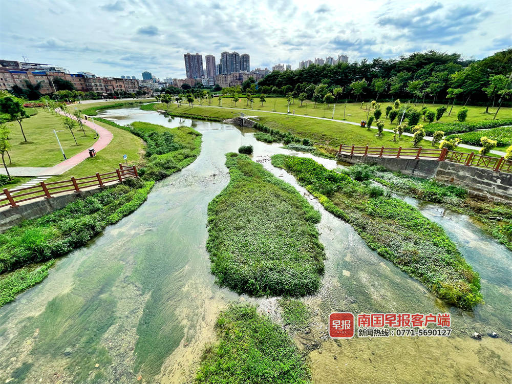 喜看家乡新变化四年级350字,喜看家乡新变化内容