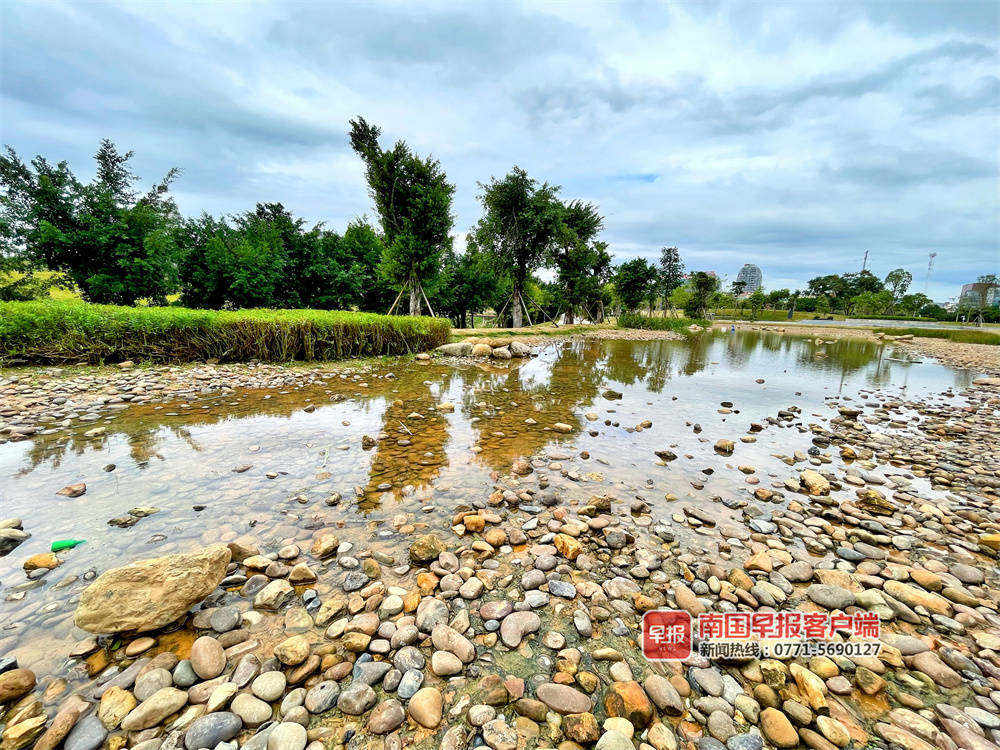 喜看家乡新变化四年级350字,喜看家乡新变化内容