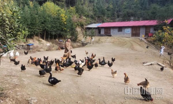 江西脱贫致富,拔穷根扶贫求精准